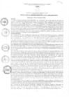 Vista preliminar de documento rgm1732020gmampmn