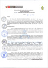 Vista preliminar de documento Nº 317-2023-GOB.REG.AMAZONAS-HA-GLL-B-D.E.