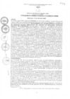 Vista preliminar de documento rgm1742020gmampmn