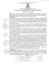 Vista preliminar de documento rgm01942020gmampmn