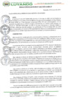 Vista preliminar de documento Resolucion 166 ATM POI