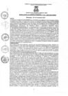Vista preliminar de documento rgm2322020gmampmn