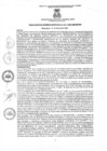 Vista preliminar de documento rgm2332020gmampmn