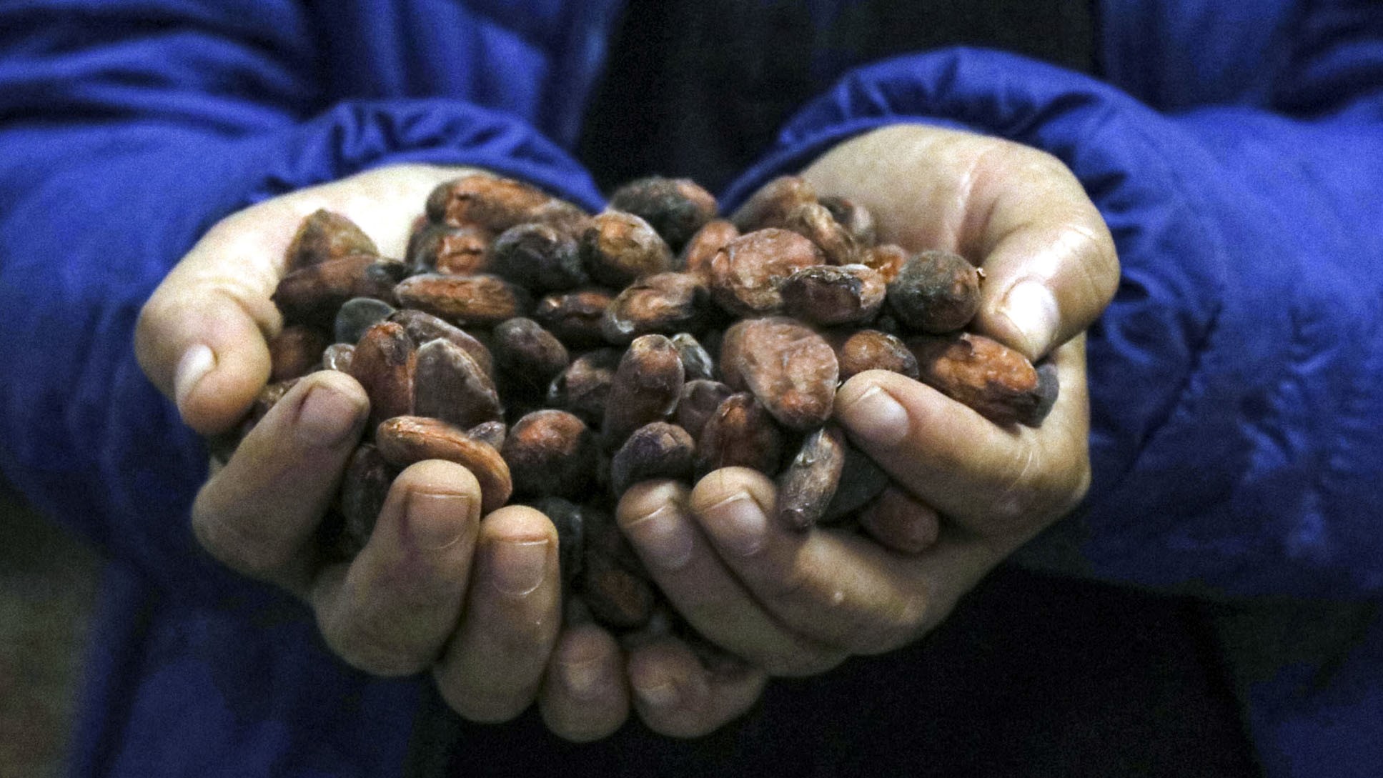 Cacao