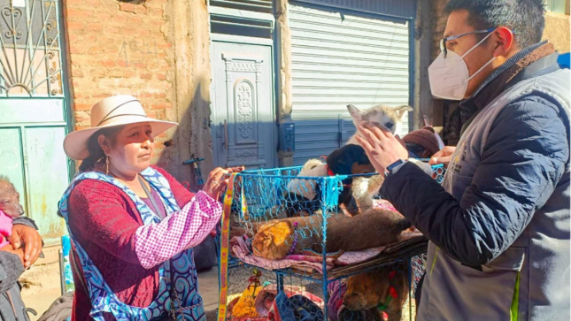 Para fiscalizar, sensibilizar sobre el comercio indebido de mascotas y verificar que se cumpla la Ordenanza Municipal N° 223-2008-MPP, la Sub Gerencia de Gestión Ambiental y Salud Pública junto al Centro Veterinario de la Municipalidad Provincial de Puno, sensibilizaron por segunda vez y de manera preventiva a los comerciantes del Jr. El Puerto con Jr. Juli, esto el último fin de semana.
