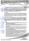 Vista preliminar de documento 243