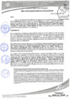 Vista preliminar de documento 252