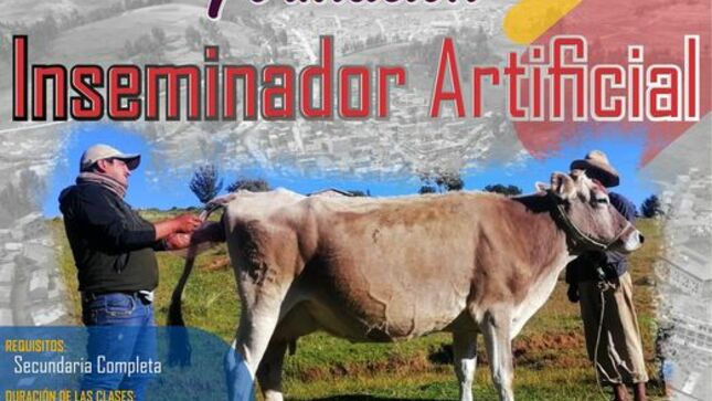 ¡Atención a todos los interesados en el mundo de la ganadería! La Municipalidad distrital de Colquemarca se complace en invitarles a la Formación de Inseminadores Artificiales, un curso completamente gratuito que les permitirá aprender habilidades valiosas para el sector de la ganadería. 
Las inscripciones estarán abiertas en la Gerencia de Desarrollo Económico, en el proyecto Vacunos. Para participar, el único requisito es tener completados los estudios de nivel secundario. ¡No pierdas esta oportunidad única!
¡Colquemarca, un nuevo comienzo con oportunidades para todos!
Prof. Santos Oviedo Ataucuri - Alcalde
Gestión 2023 - 2026
