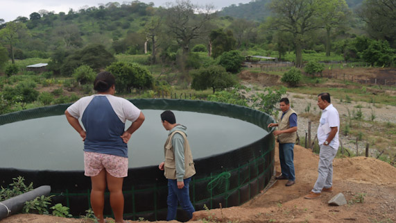 GORE y Plan Binacional ejecutan proyecto de crianza de tilapia en Suyo