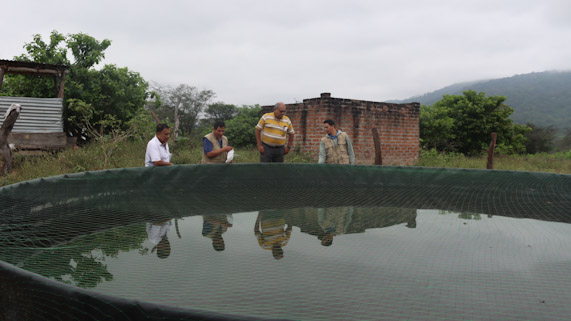 GORE y Plan Binacional ejecutan proyecto de crianza de tilapia en Suyo