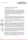 Vista preliminar de documento RESOLUCION DE GERENCIA MUNICIPAL N° 105-2023-GM/MDSJLyKWby