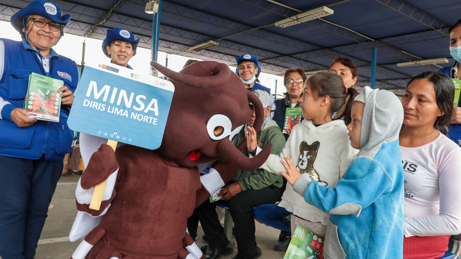 Minsa brinda medidas preventivas para protegerse contra el dengue en feriado largo