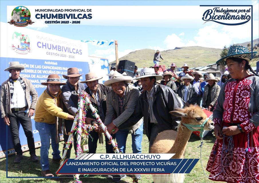 Municipalidad de Chumbivilcas oficializa lanzamiento del Proyecto Vicuñas en Allhuacchuyo