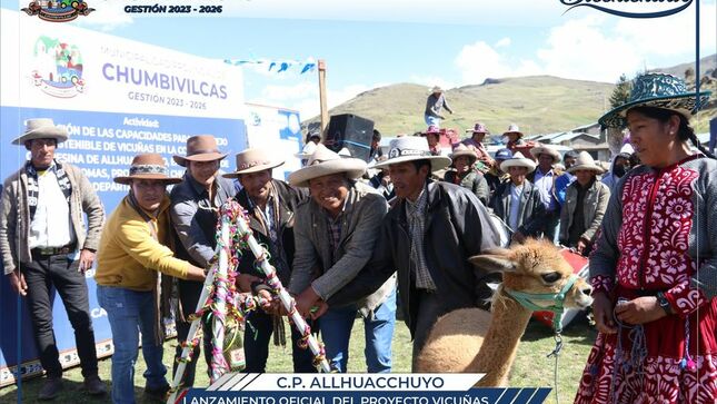 Municipalidad de Chumbivilcas oficializa lanzamiento del Proyecto Vicuñas en Allhuacchuyo 