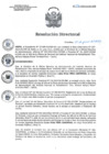 Vista preliminar de documento RD 096-2023-SA-DG-INR