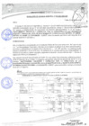 Vista preliminar de documento 255