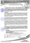 Vista preliminar de documento 261