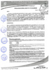 Vista preliminar de documento 262