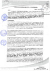 Vista preliminar de documento 263