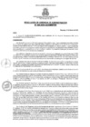 Vista preliminar de documento rga0462020gagmmpmn