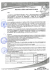 Vista preliminar de documento 265