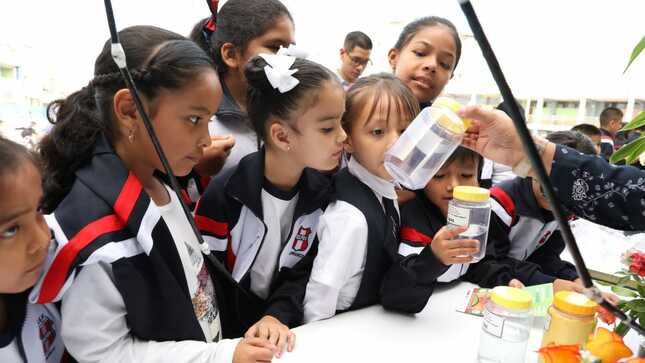 Agentes comunitarios promueven medidas de prevención contra el dengue en colegios de Lima Metropolitana -1