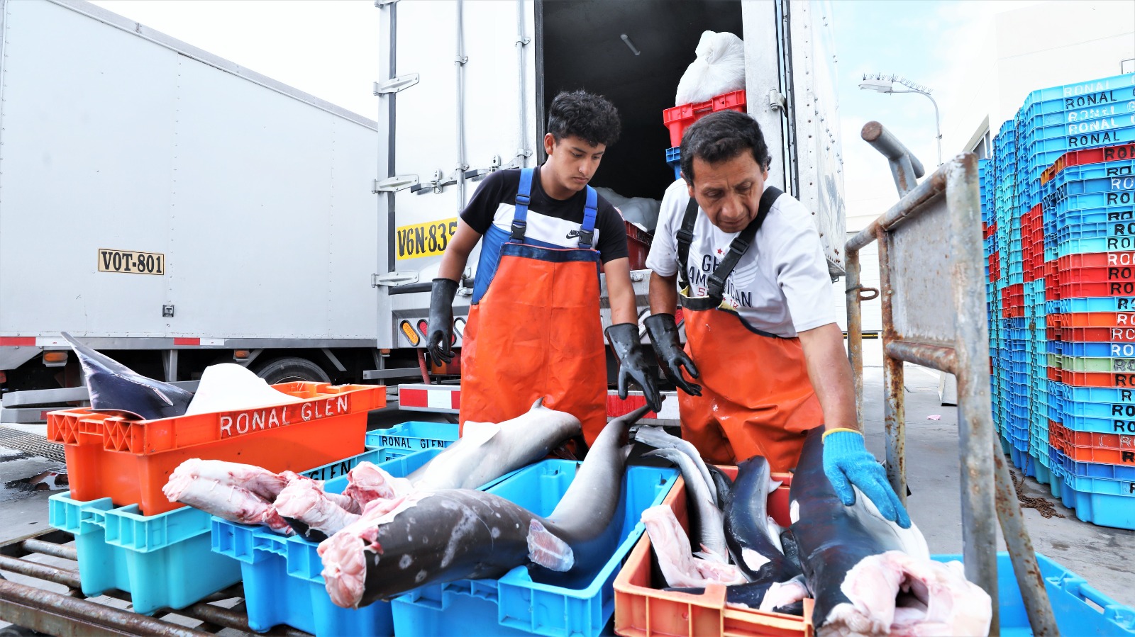 Produce inicia el proceso de elaboración de la primera Política Nacional de Pesca