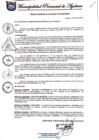 Vista preliminar de documento RESOLUCION ALCALDIA  N° 315