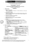Vista preliminar de documento Perfil del puestoT2fcx