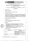 Vista preliminar de documento Perfil del puestoAHZTr