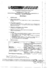 Vista preliminar de documento Perfil del puestoA2ufj