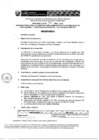 Vista preliminar de documento Perfil del puestopgK8g