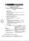 Vista preliminar de documento Perfil del puesto0BvI5