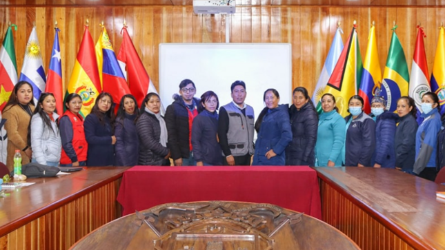 La reunión mensual de la Instancia de Articulación Local (IAL) Puno fue fructífera llegando a importantes acuerdos para combatir la anemia, además para la siguiente jornada se brindará diversos informes que fomentarán el trabajo en materia de reducción de esta enfermedad.