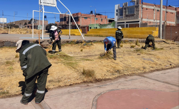 Para mantener en óptimas condiciones las áreas verdes y plantas ornamentales, así como eliminar plagas, la Gerencia de Medio Ambiente, Saneamiento y Servicios a través de la Sub Gerencia de Parques, Jardines y Conservación de Áreas Verdes de la Municipalidad Provincial de Puno intervinieron las zonas de Villa del Lago, el parque de la Cultura y las avenidas el Sol, Titicaca y La Torre.