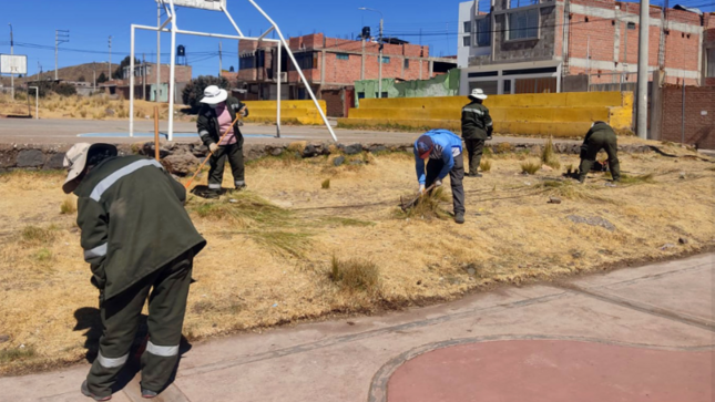 Para mantener en óptimas condiciones las áreas verdes y plantas ornamentales, así como eliminar plagas, la Gerencia de Medio Ambiente, Saneamiento y Servicios a través de la Sub Gerencia de Parques, Jardines y Conservación de Áreas Verdes de la Municipalidad Provincial de Puno intervinieron las zonas de Villa del Lago, el parque de la Cultura y las avenidas el Sol, Titicaca y La Torre.