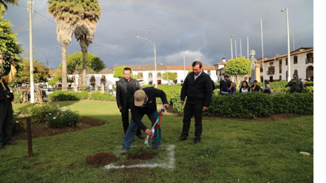 Actividades de trabajo
