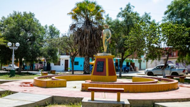Mocan Casa Grande