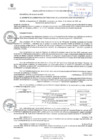 Vista preliminar de documento RESOLUCIÓN DE GERENCIA NO. 270-2023-MSB-GM-GAT