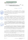 Vista preliminar de documento RDRS 229-2023 