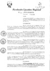 Vista preliminar de documento R.E.R 261-2019