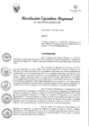 Vista preliminar de documento R.E.R 262-2019