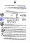 Vista preliminar de documento RGSR N° 189