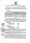Vista preliminar de documento RGSR N° 194