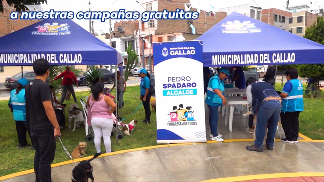 Seguimos recorriendo todos los rincones del Callao con nuestras campañas veterinarias.