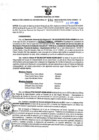 Vista preliminar de documento RGSR N° 196