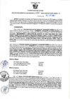 Vista preliminar de documento RGSR N° 197