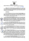 Vista preliminar de documento RGSR N° 198