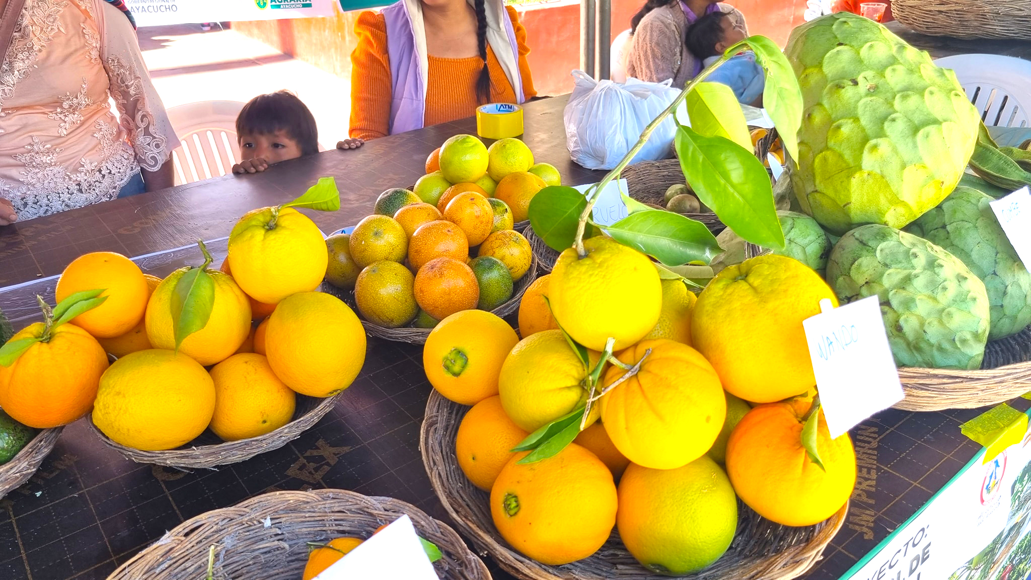 Inició cosecha de frutos sanos en La Mar y Huanta
