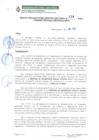 Vista preliminar de documento RDRS 234-2023 